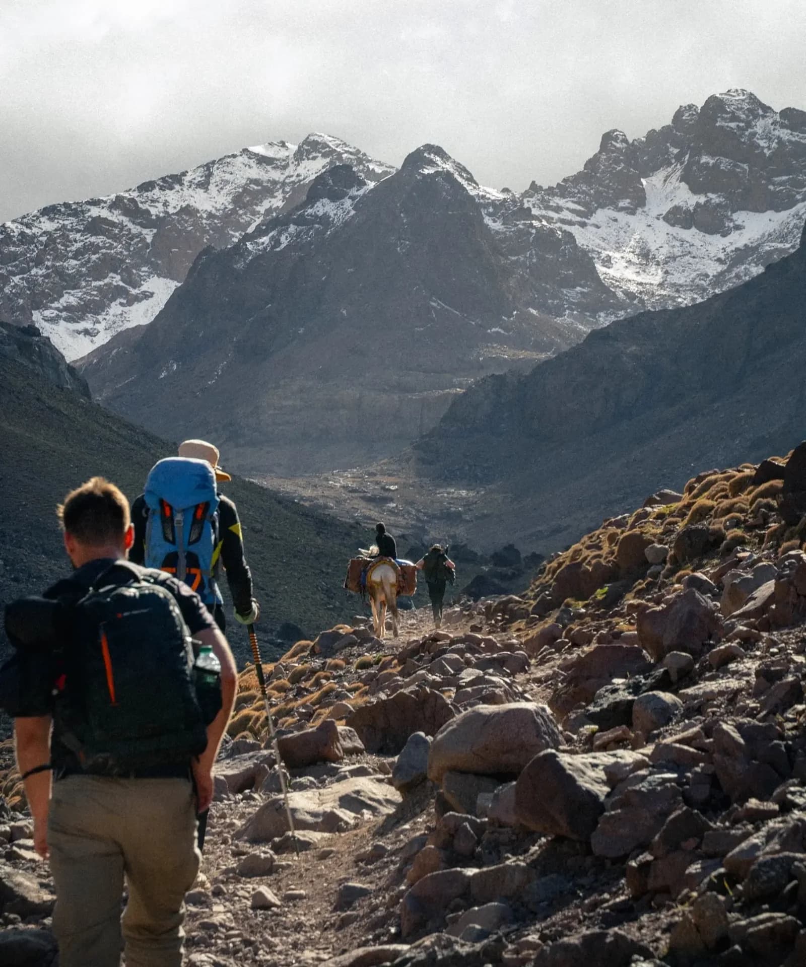Hikers and a pack mule on a rocky trail beneath snow-dusted peaks